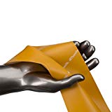 TheraBand Professional Latex Resistance Bands, Individual 6 Ft Elastic Band for Upper & Lower Body Exercise, Physical Therapy, Pilates, At-Home Workouts, 6 Foot Band, Gold, Max, Elite