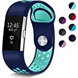 Maledan Sport Bands for Fitbit Charge 2 with Air Holes, Blue/Teal Large
