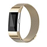 iGK For Fitbit Charge 2 Bands, Charge 2 Milanese Loop Stainless Steel Metal Bracelet with Unique Magnet Clasp Replacement Bands for Fitbit Charge 2 Champagne large