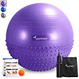 Sportneer Excercise Ball Anti-burst Dual-sided Balance Yoga Ball with Pump, Massage Ball, Workout Guide and Carrying Bag, Purple, 65cm