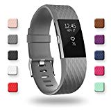 POY Replacement Bands Compatible for Fitbit Charge 2, Adjustable Sport Wristbands, Large Gray, 1PC