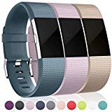 Bands for Fitbit Charge 2, Champagne Slate Blue Lavender, Large