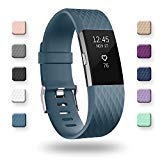 POY Replacement Bands Compatible for Fitbit Charge 2, Classic & Special Edition Sport Wristbands, Slate Large, 1PC