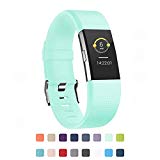 POY Replacement Bands Compatible for Fitbit Charge 2, Adjustable Sport Wristbands, Large Turquoise 1PC