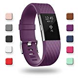 POY Replacement Bands Compatible for Fitbit Charge 2, Adjustable Sport Wristbands, Large Purple, 1PC