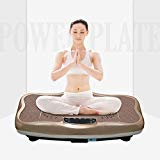 Gharpbik Vibration Fitness Machine Workout Platform Vibrating Platform Exercise & Workout Trainer, Balance Plate Exercise Equipment with Built-in Bluetooth Speakers(SP-CFM21)